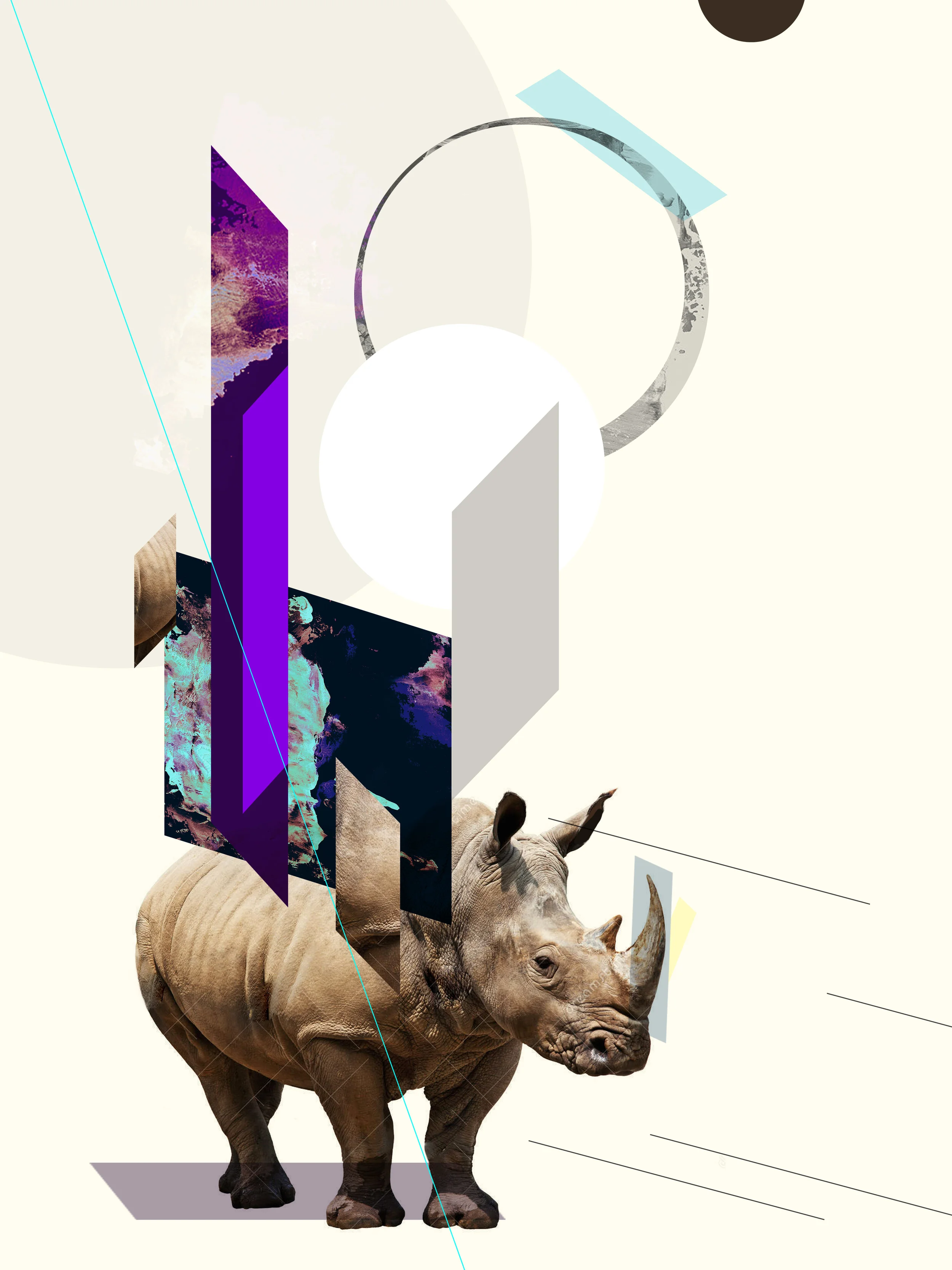 Rhino.jpg
