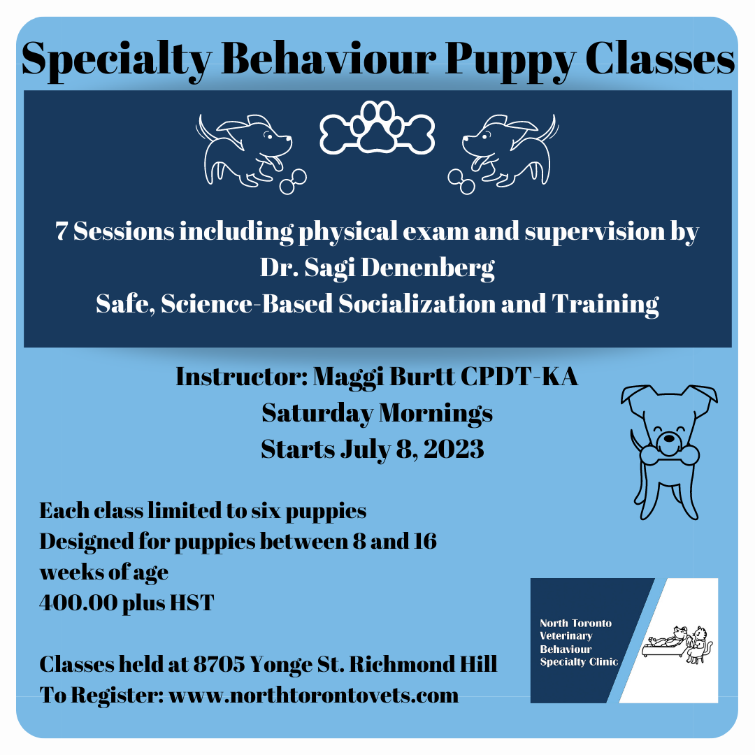 Specialty Behaviour Puppy Classes (4).png
