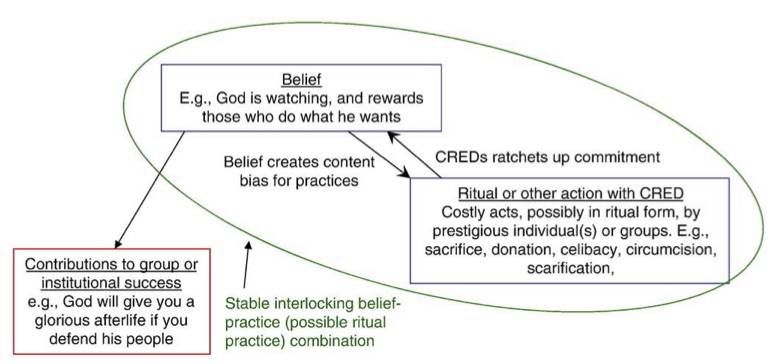 From Henrich, J. The evolution of costly displays, cooperation and religion: credibility enhancing displays and their implications for cultural evolution. Evolution and Human Behavior 2009; 30: 244-260.