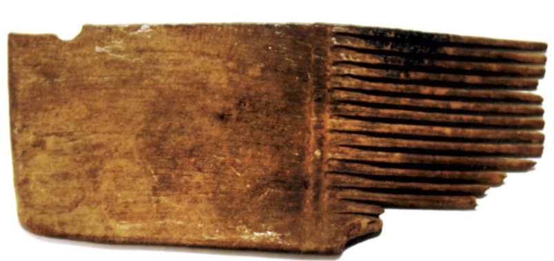 Wooden comb found in the Cave of the Pool, near Nahal David in the Dead Sea region. It was discovered in 1961. From Mumcouglu and Hadas. Head Louse (Pediculus humanus capitis) Remains in a Louse Comb from the Roman Period Excavated in the Dead Sea Region. Israel Exploration Journal , Vol. 61, No. 2 (2011), pp. 223-229 