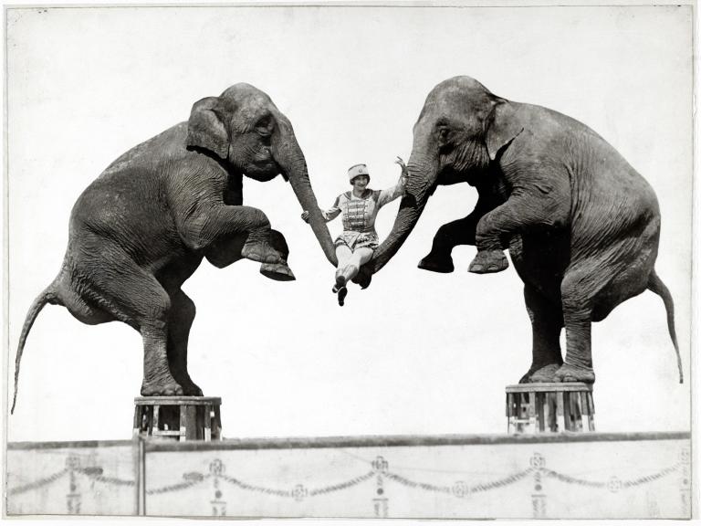 A.H Atwell, National Geographic.