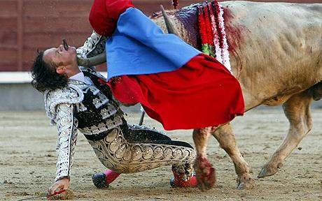 In May 2010 Julio Aparicio slipped while fighting this half-ton bull. The horn of the animal tore into the bullfighter's throat and emerged through his mouth. Aparicio underwent six hours of surgery; doctors performed an emergency tracheotomy and worked to reconstruct his throat, jaw, tongue and the roof of the mouth. But don't worry. He made a full recovery and returned to the bullfighting arena ten weeks after the goring. 
