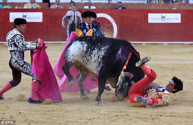 The Spanish Matador Victor Barrio was gored to death by a bull in Teruel, Spain last Shabbat. He was buried on Monday .