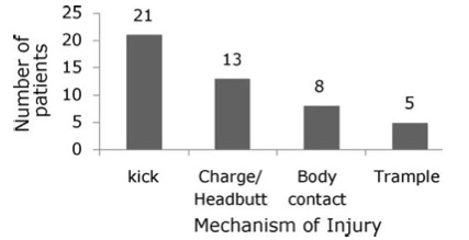 Mechanisms of injury from cows. From Murphy, CG. McGuire, CM. O’Malley, N. Harrington P. Cow-related trauma: A 10-year review of injuries admitted to a single institution. Injury 2010. 41: 548–550.