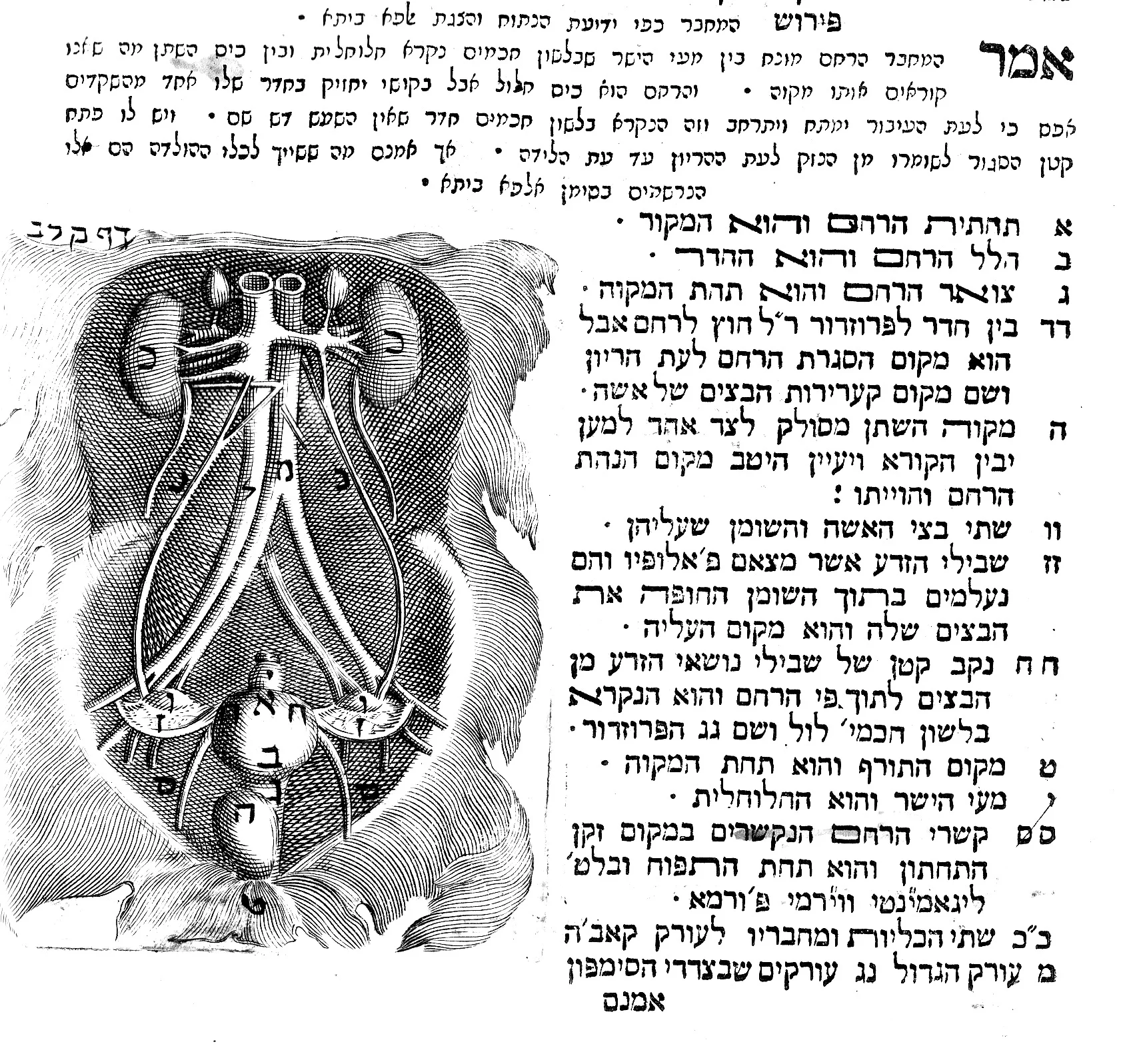 Detail from Tuviah HaCohen, Ma'aseh Tuviah , Venice 1708. p132b.