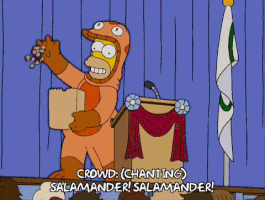 From See Homer Run , in The Simpsons Season 17 Episode 6.