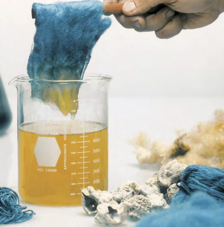 Techelet Shell Talmudology on the Parsha, Shelach: How Do You Make Techelet? — Talmudology