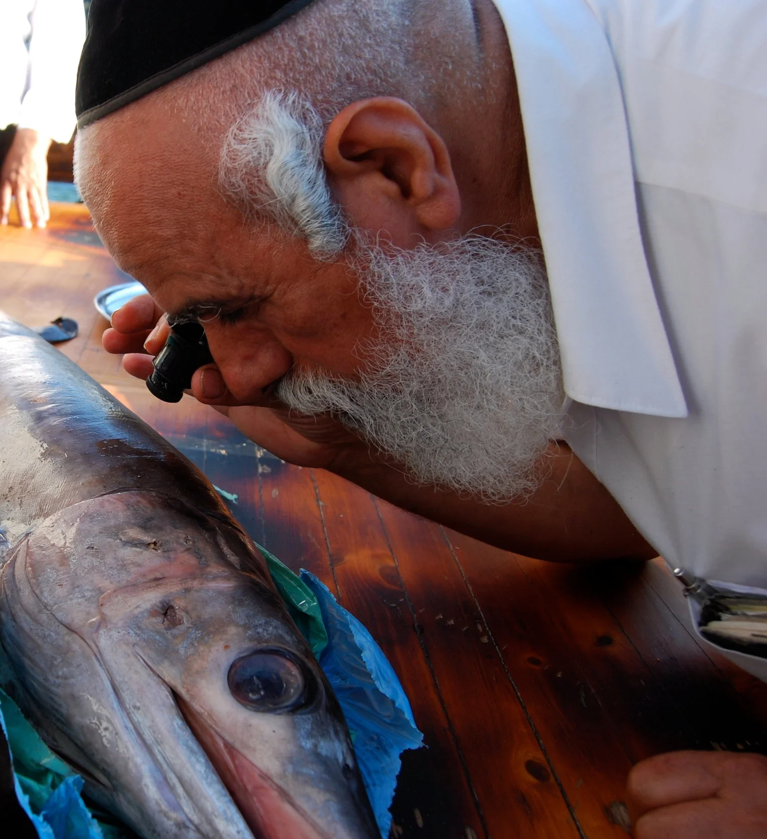 Rav Shlomo Machfud , Rav of בד"צ יורה דעה examining a swordfish for evidence of scales, Tiberias 2010. © 2010 by David Willner for Foundation Stone. All Rights Reserved.