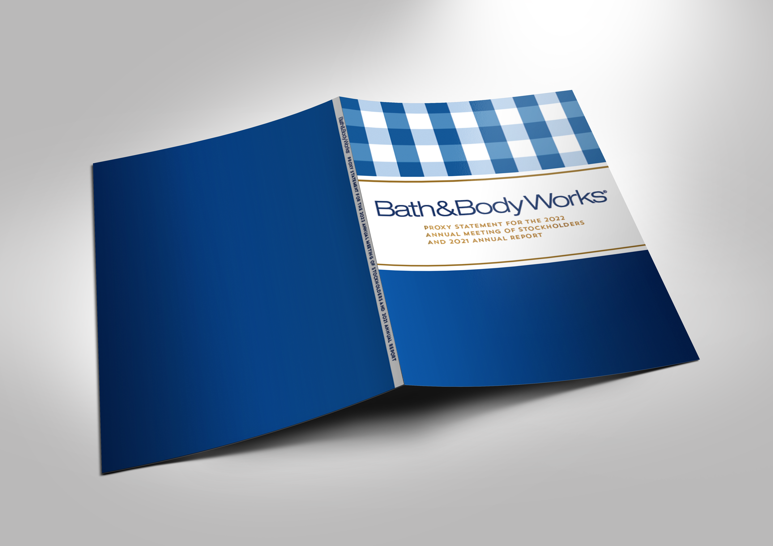 Annual_Report Mockup.png