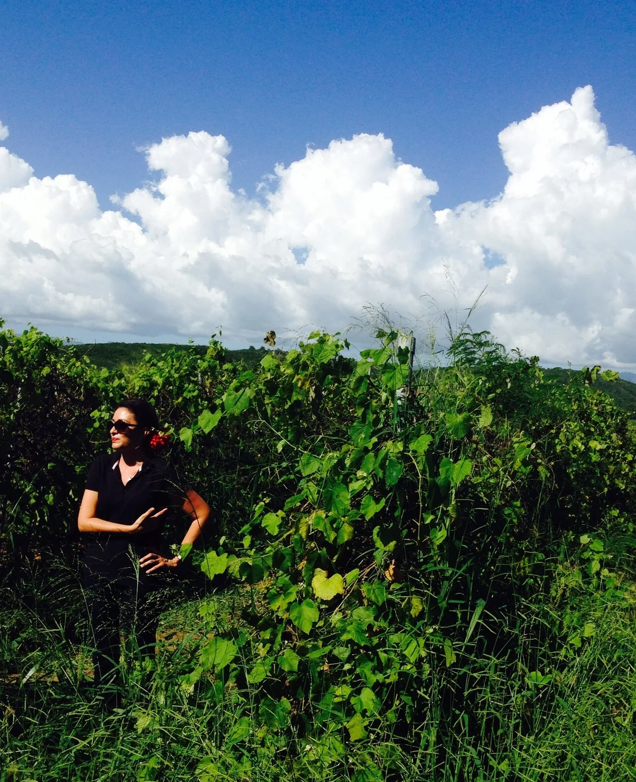 Our lovely tour guide in the vineyard.