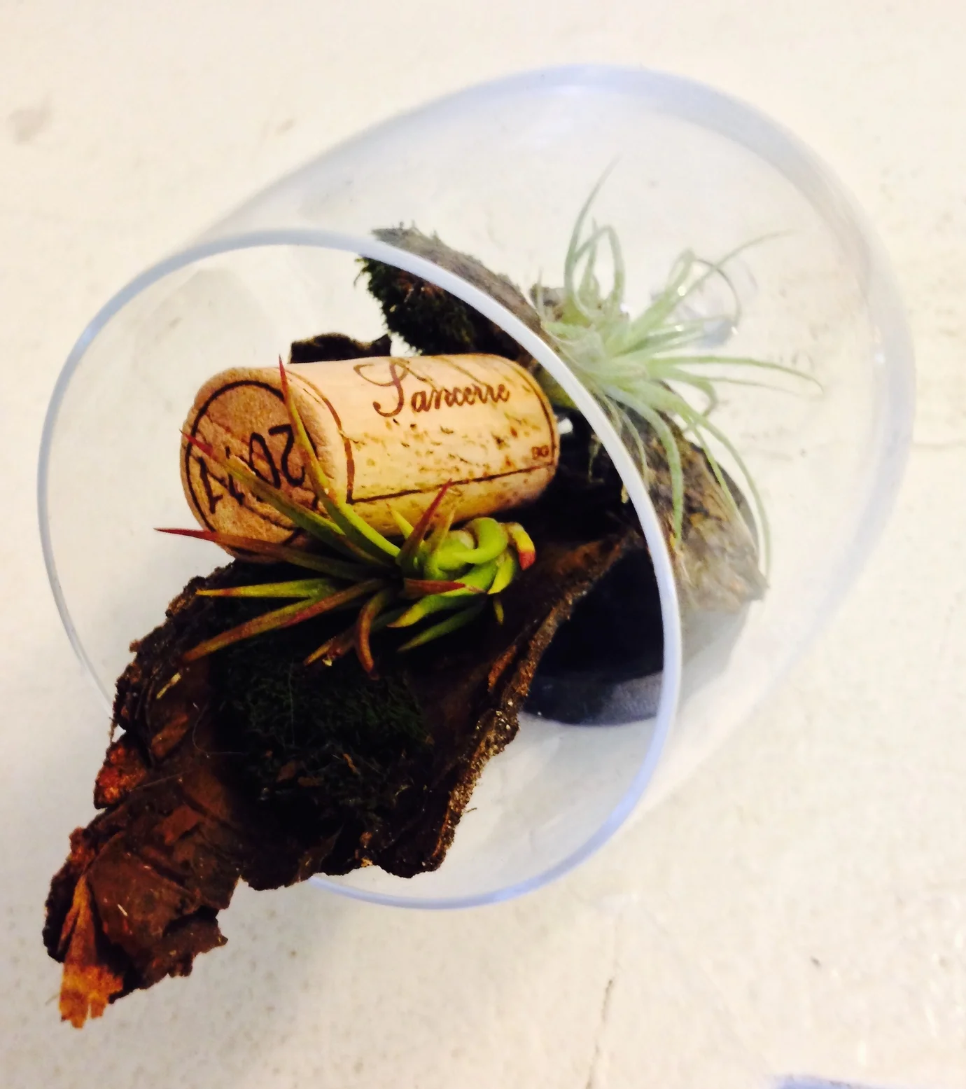 Aerial view. Apparently the cork was from a Sancerre. Well played!
