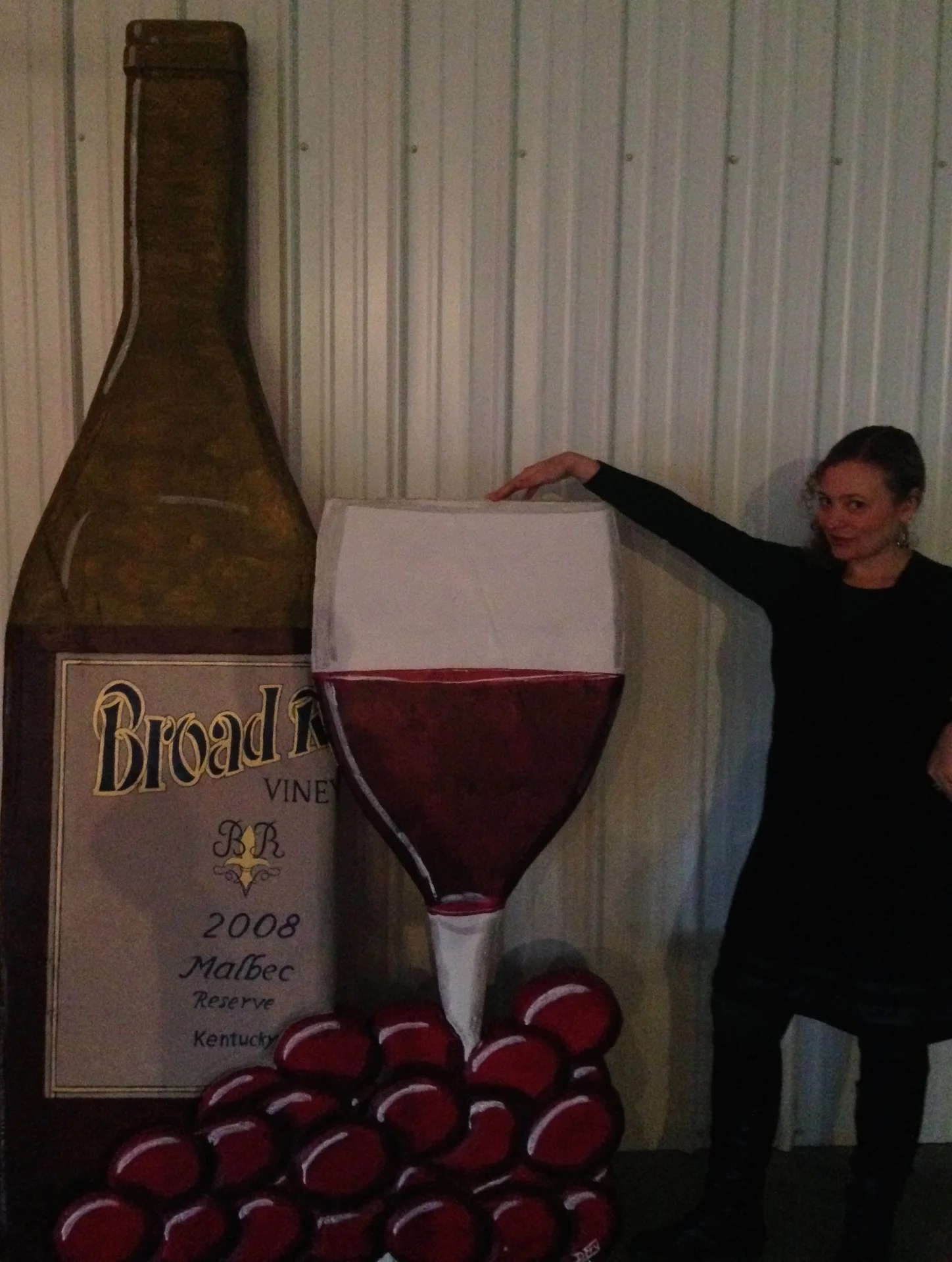 Disneyland style photo option for adults (with a wine habit).