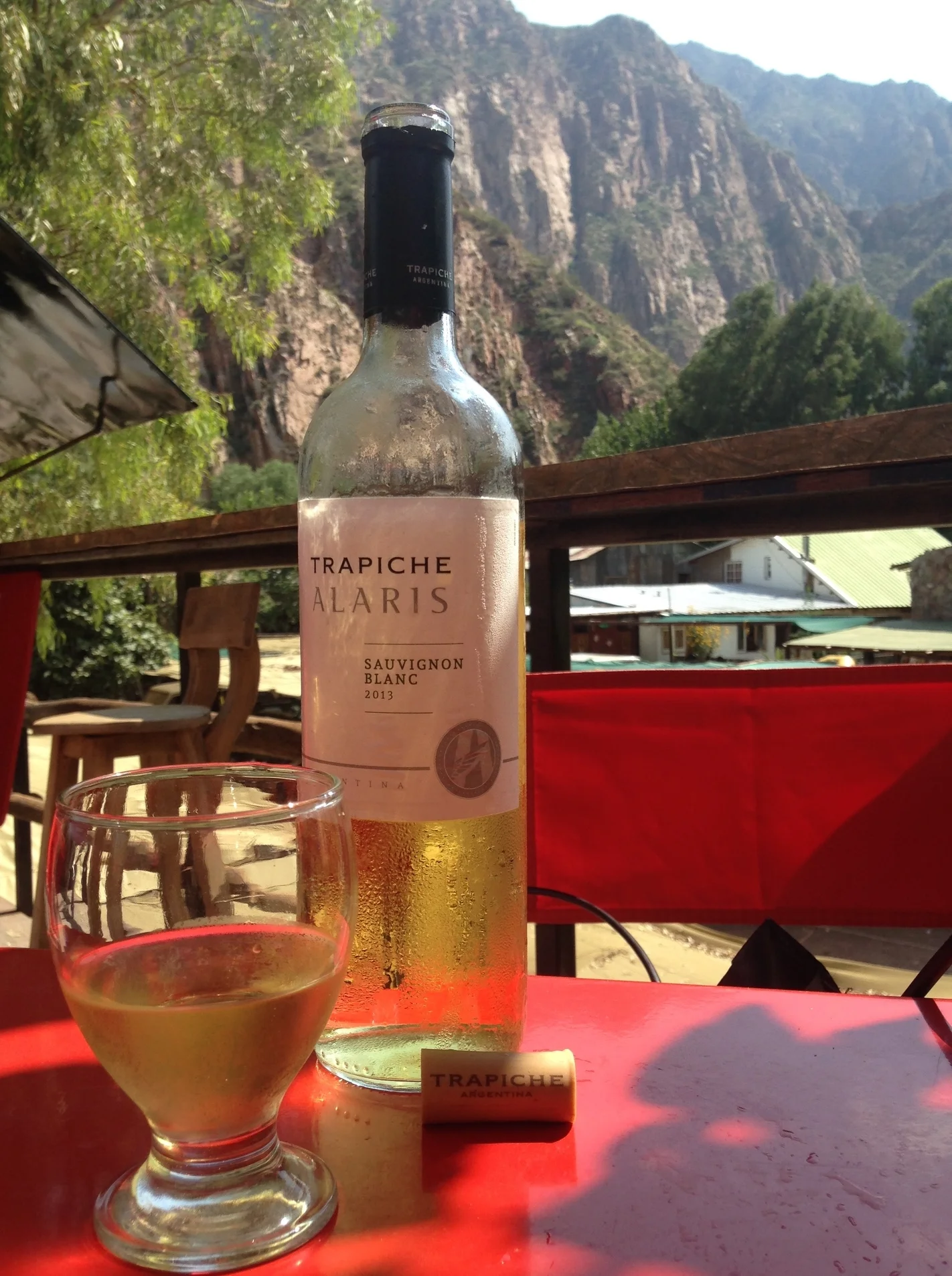 Sipping on a Sauv Blanc in Malbec..I mean, Mendoza. Check out that back-drop! Just a bit of The Andes enveloping us during lunch.