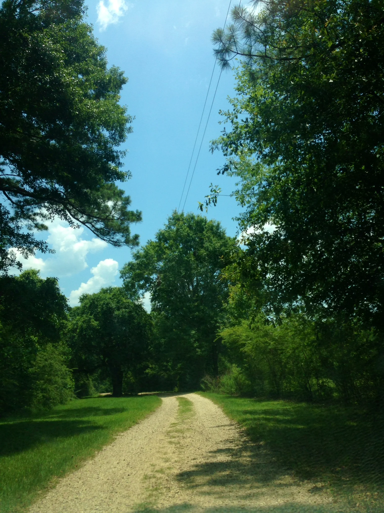 Driveway into the vineyard and tasting room, keep going...