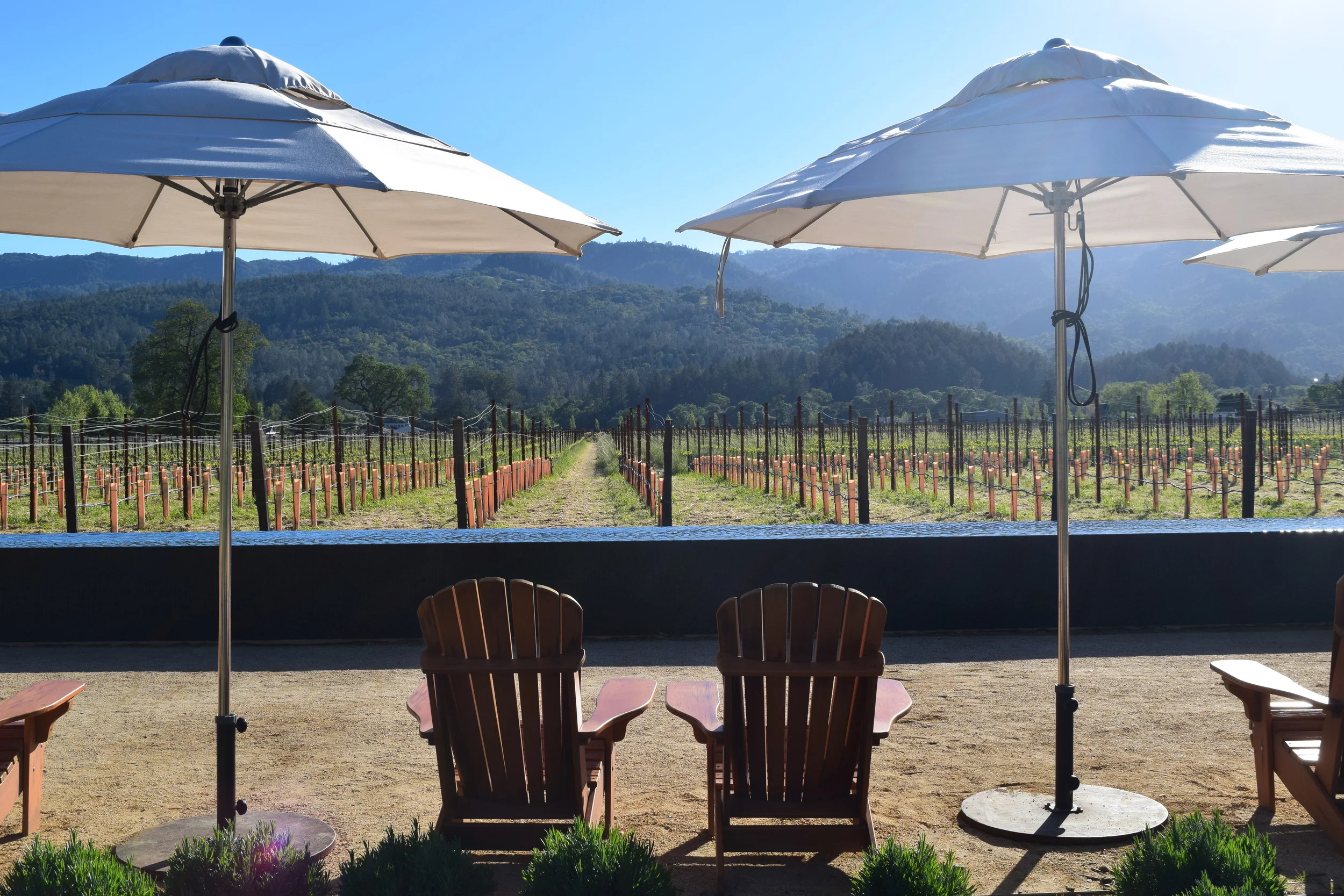 HALL, St. Helena