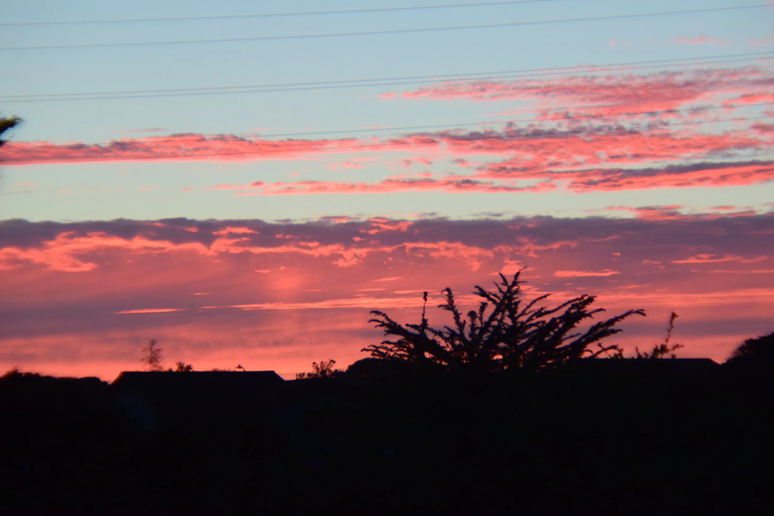 Winter sunset in Pacific Grove, CA.