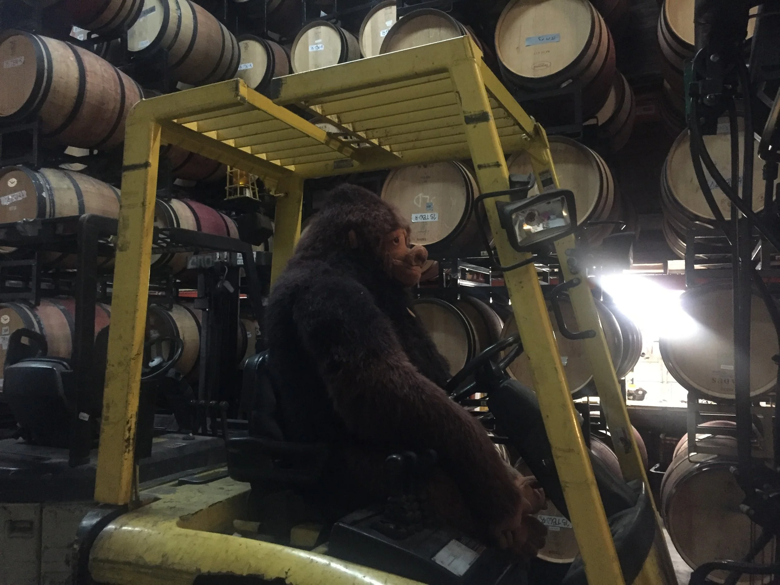 The fork lift driver looks plush!