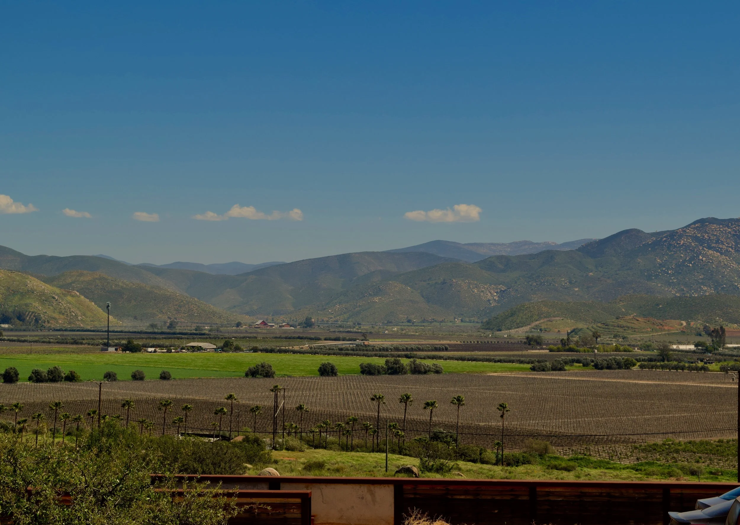 View from Encuentro Guadalupe. Photo by Gabriel Manzo.