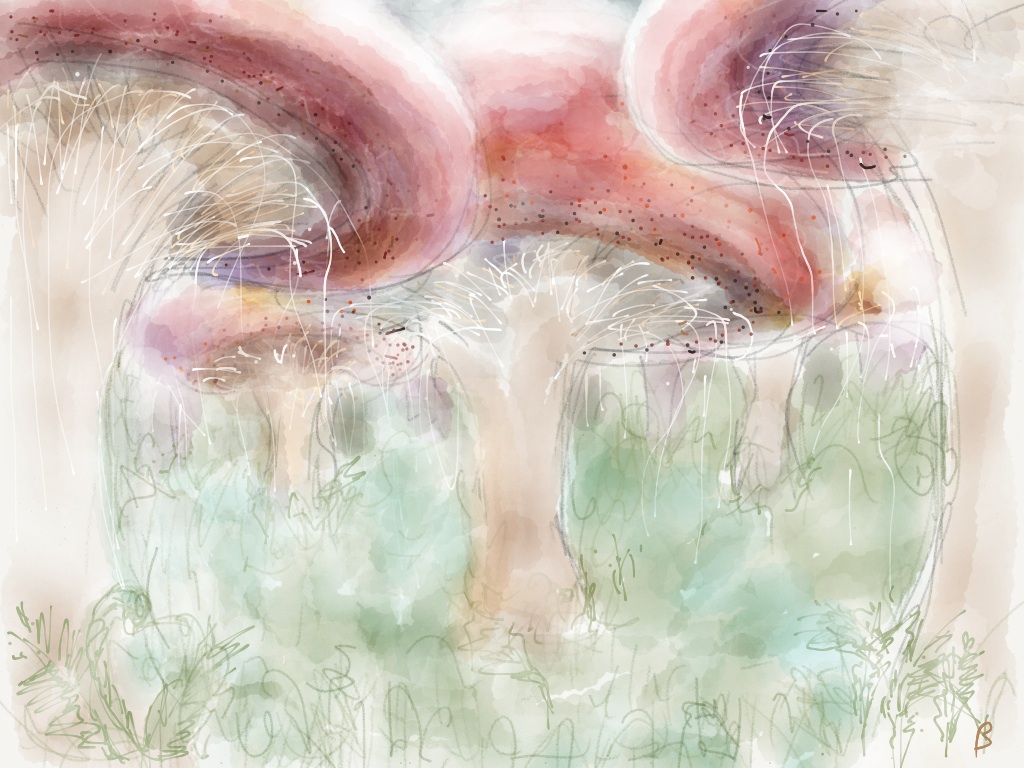 Secret Garden, 2013 Winter