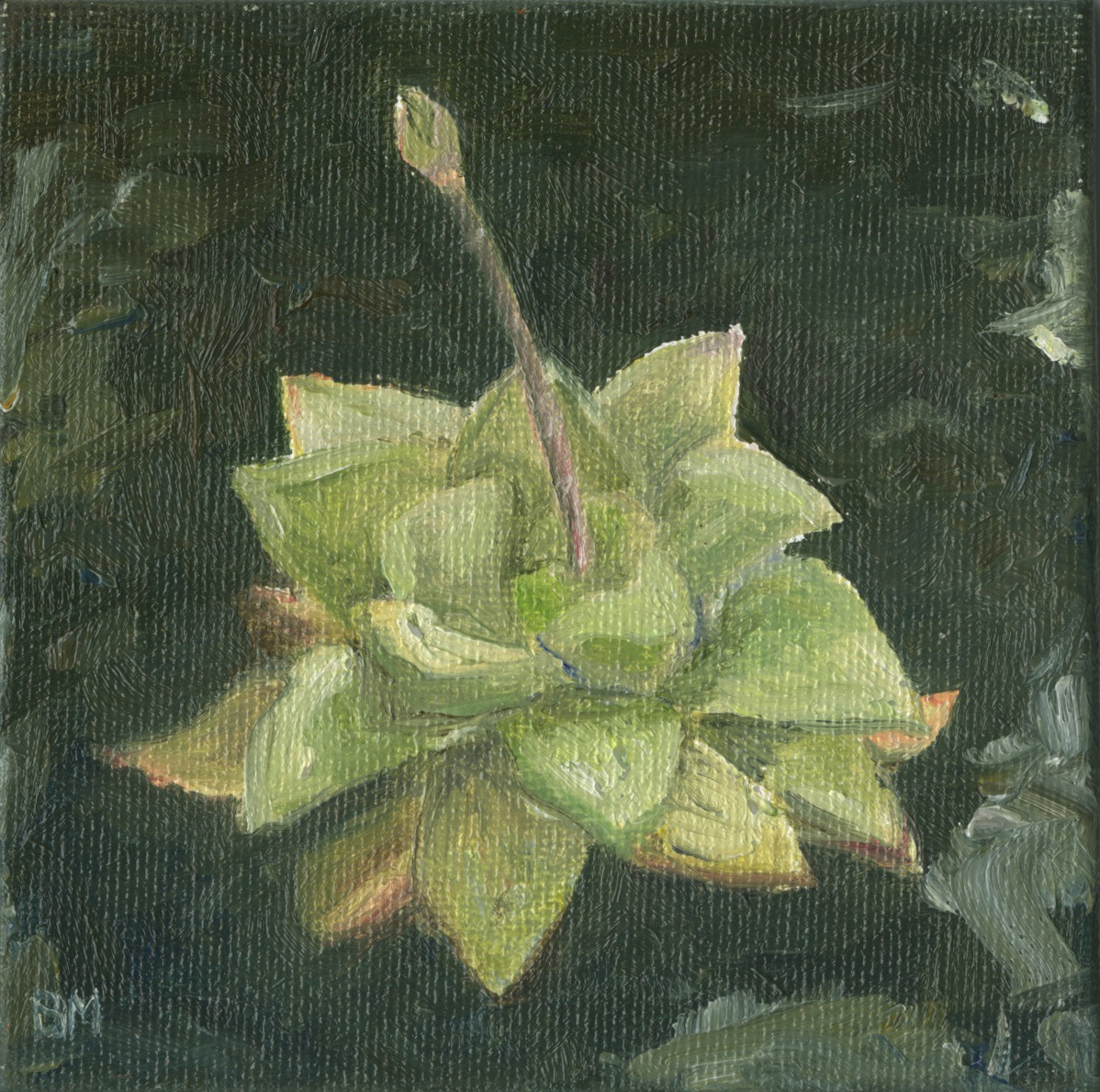 English Botany, 2013 Spring