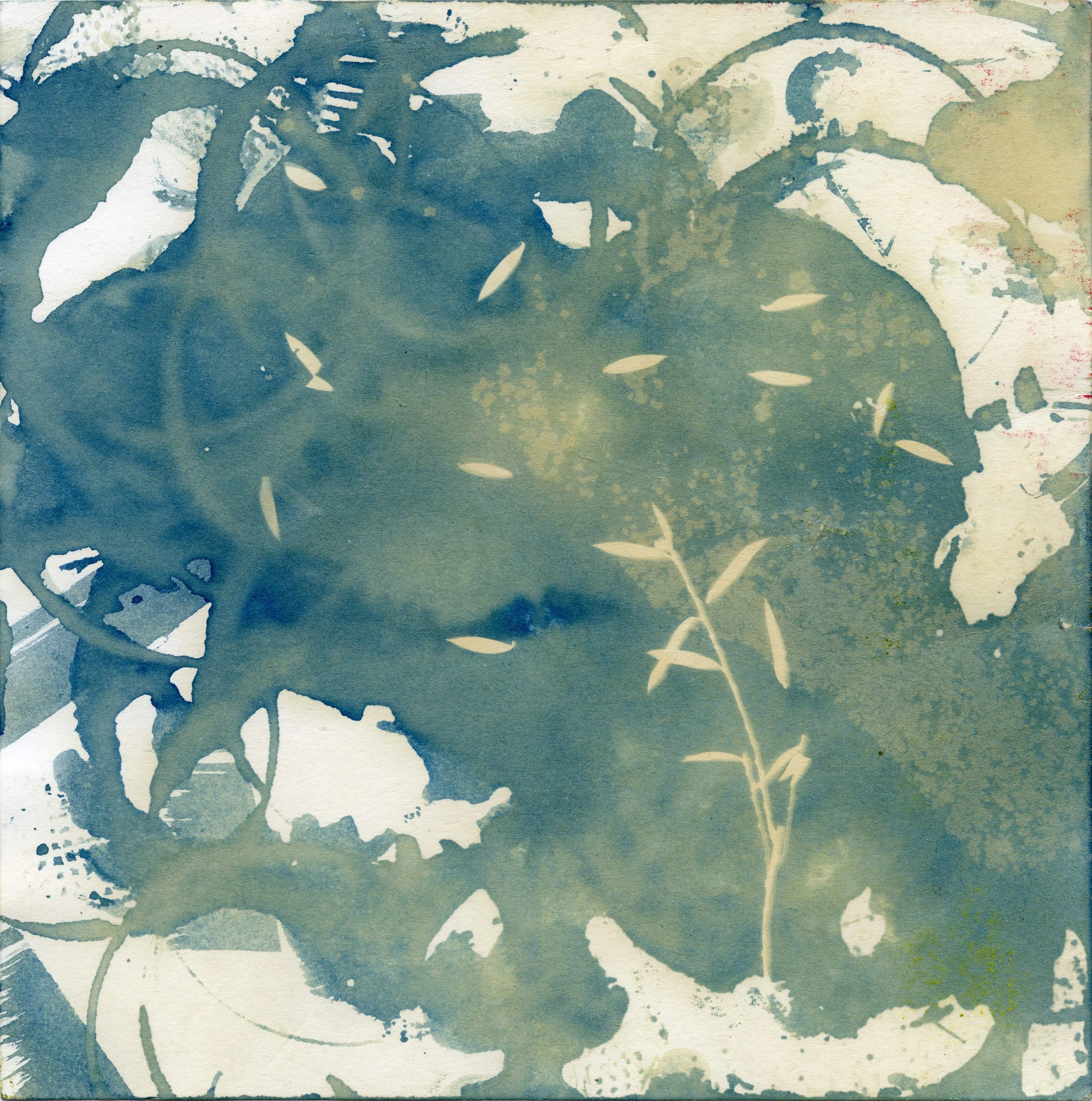 cyanotype002_croped.jpg
