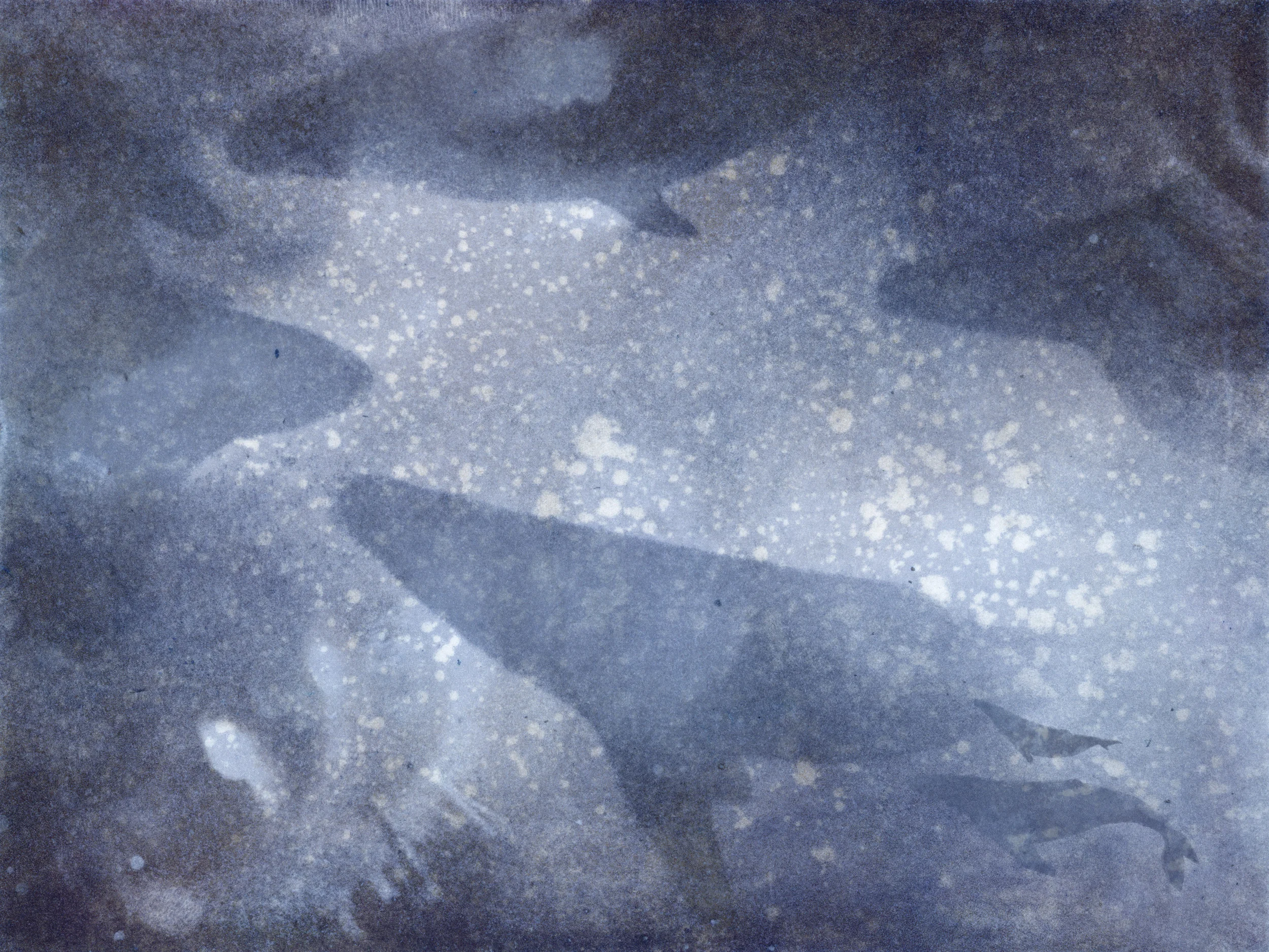 etching-120000222.jpg