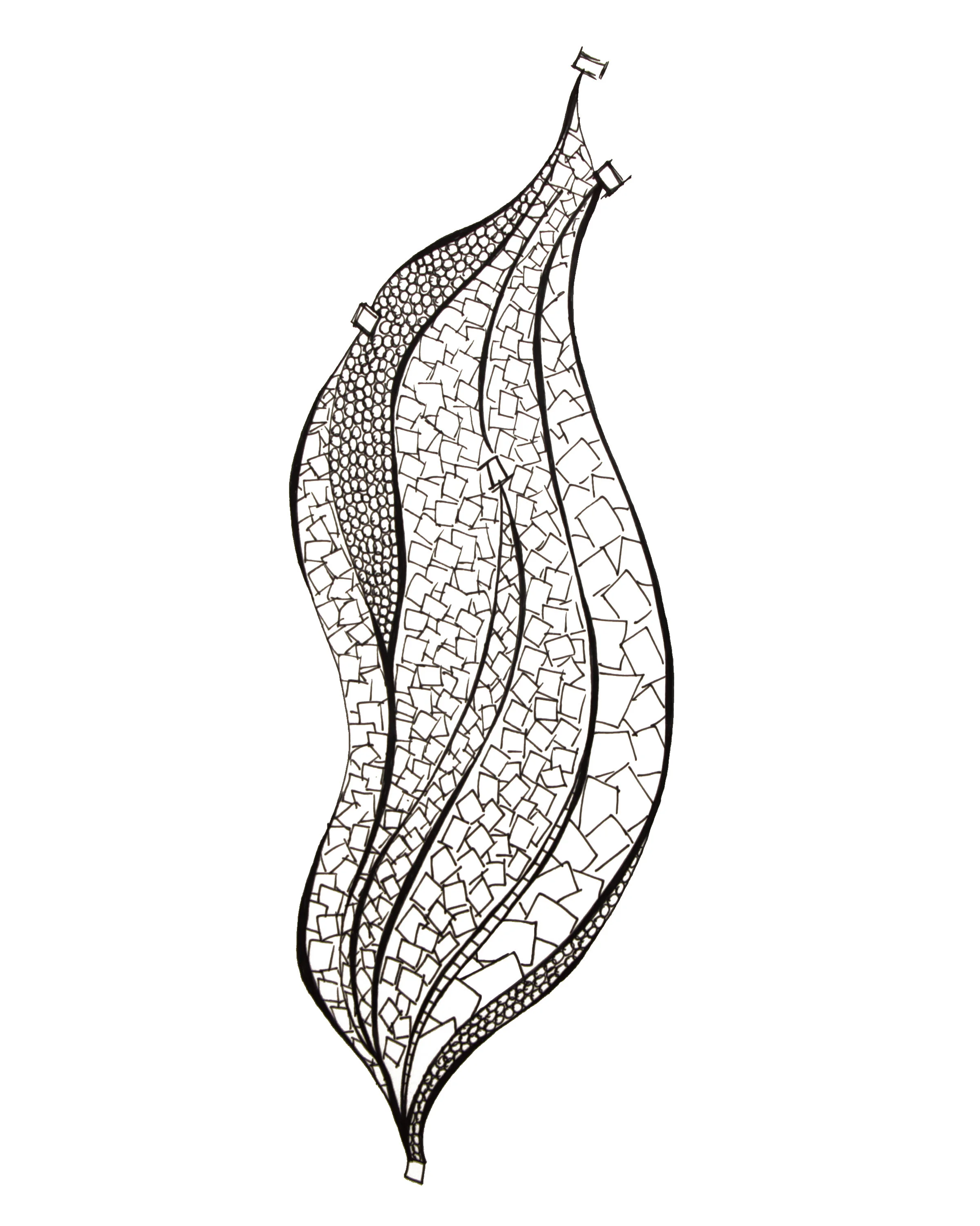 doodle 6 b w.jpg