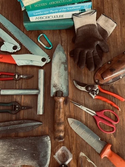 BM background image.jpeg