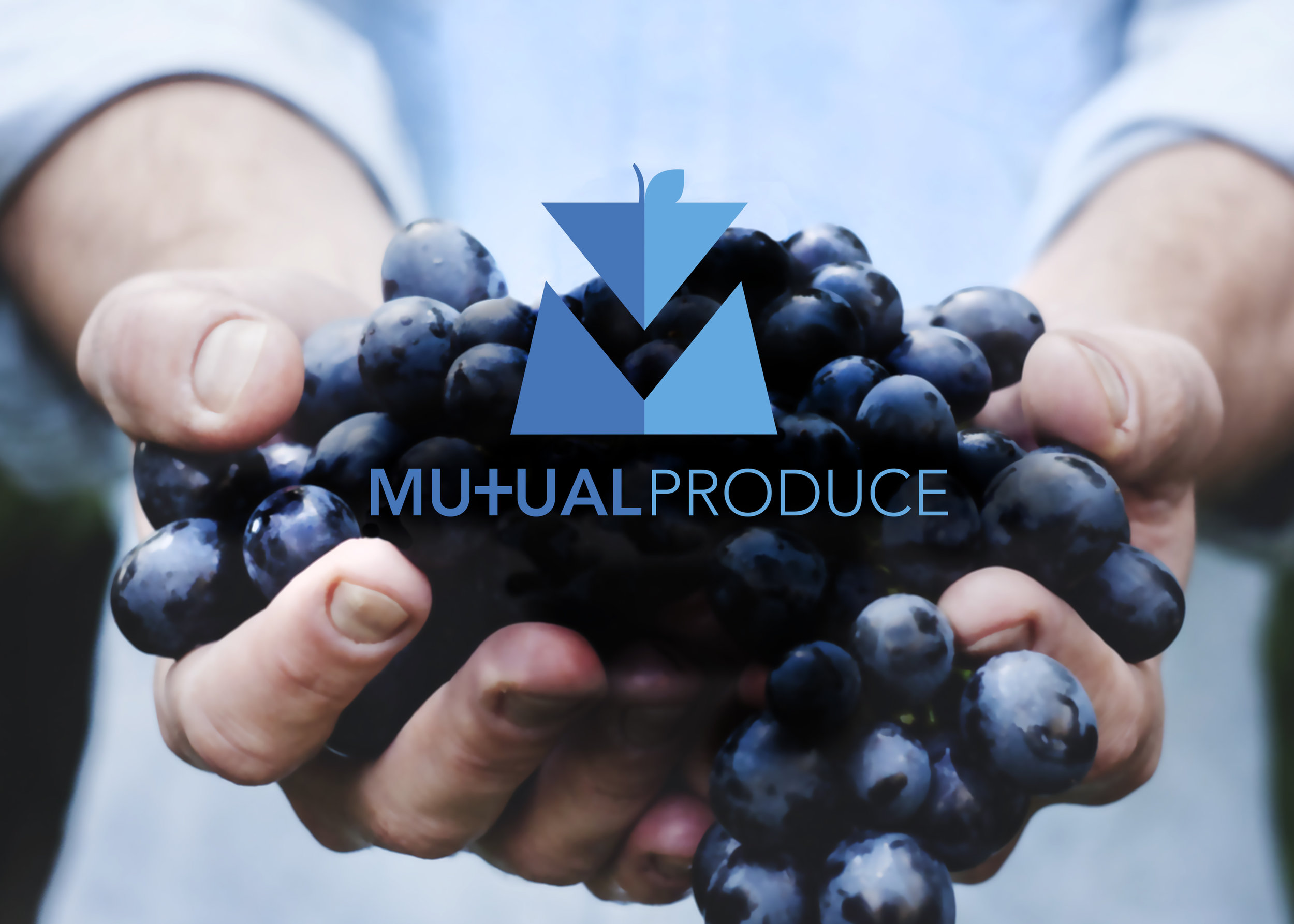 Mutual Produce Brand Identity