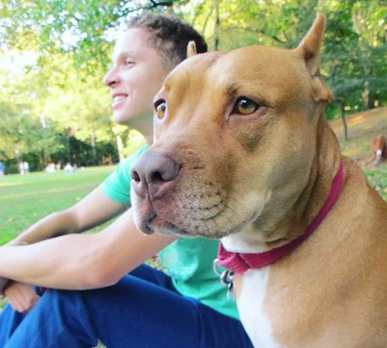 My dog is more famous than me