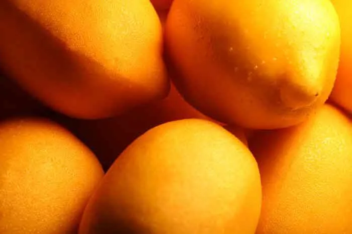 Lemons-(LR).jpg