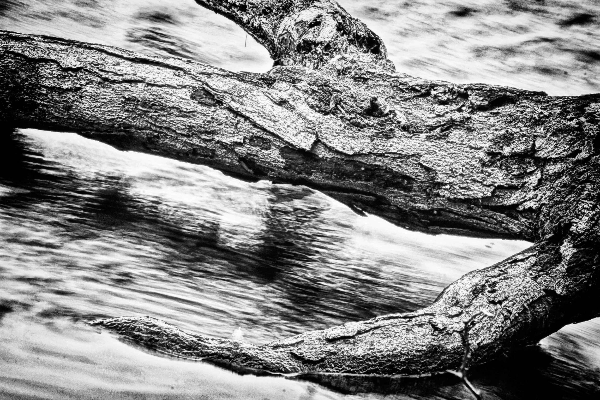 _MG_9115-(LR).jpg