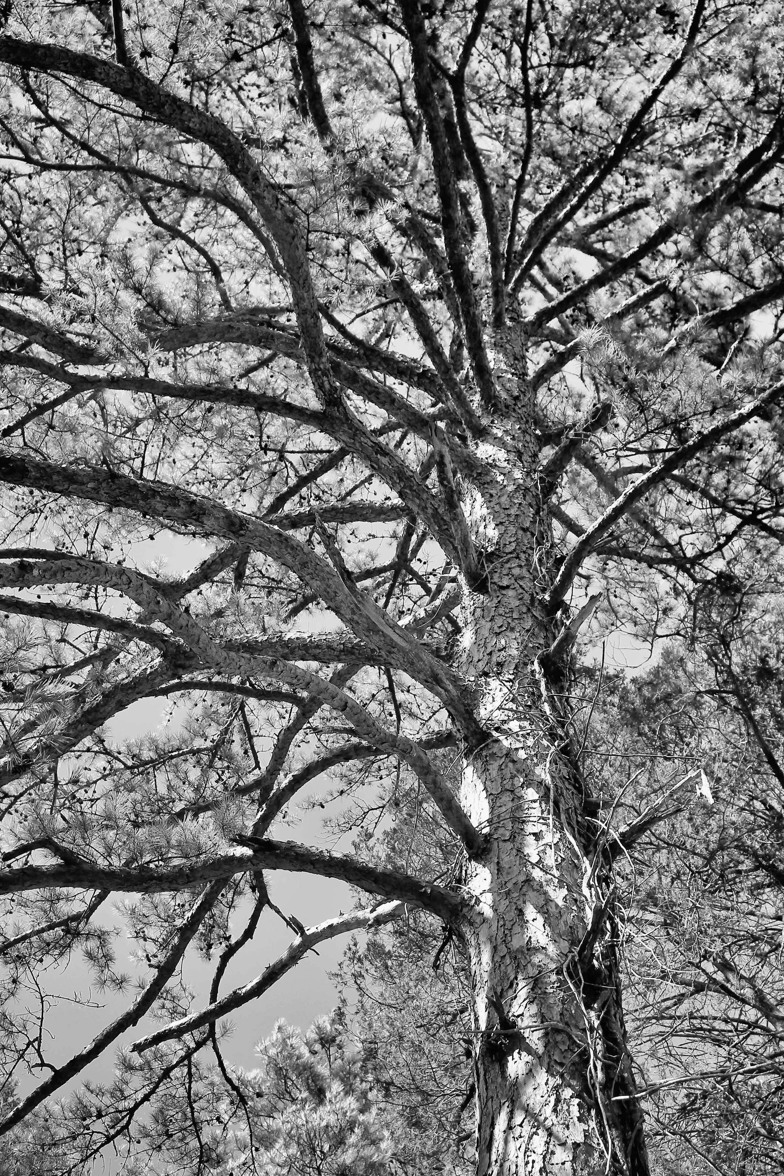 _MG_8662-(LR).jpg