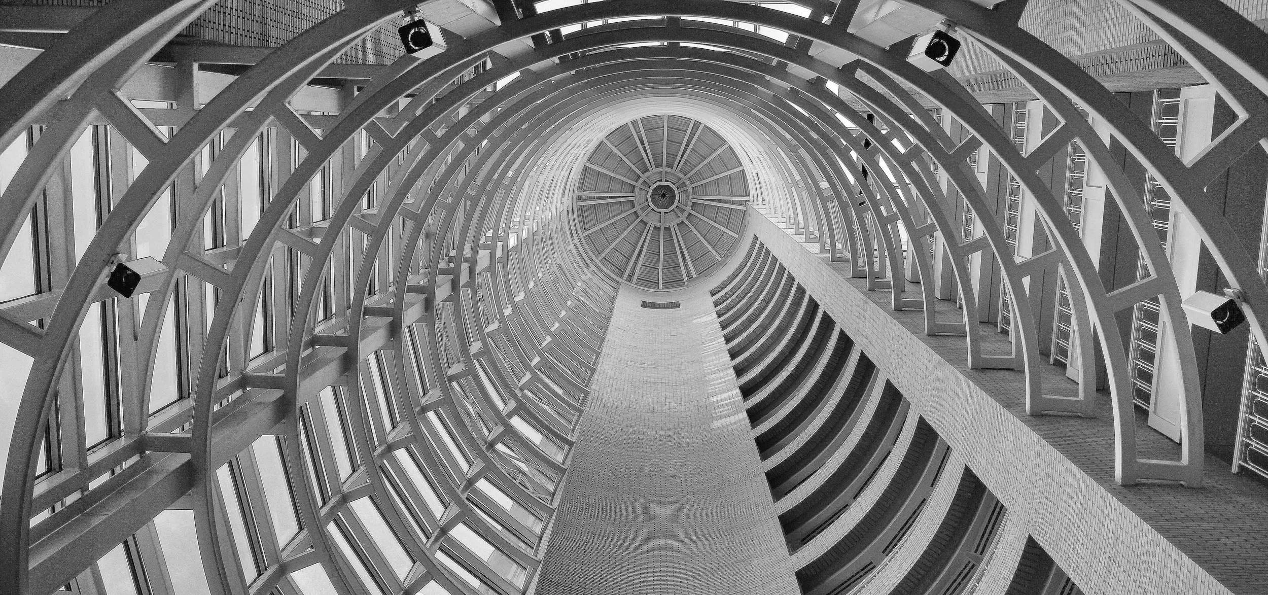 IMG_1861-(LR_NO_Info_Sharpen_Cropped-and-Structure).jpg