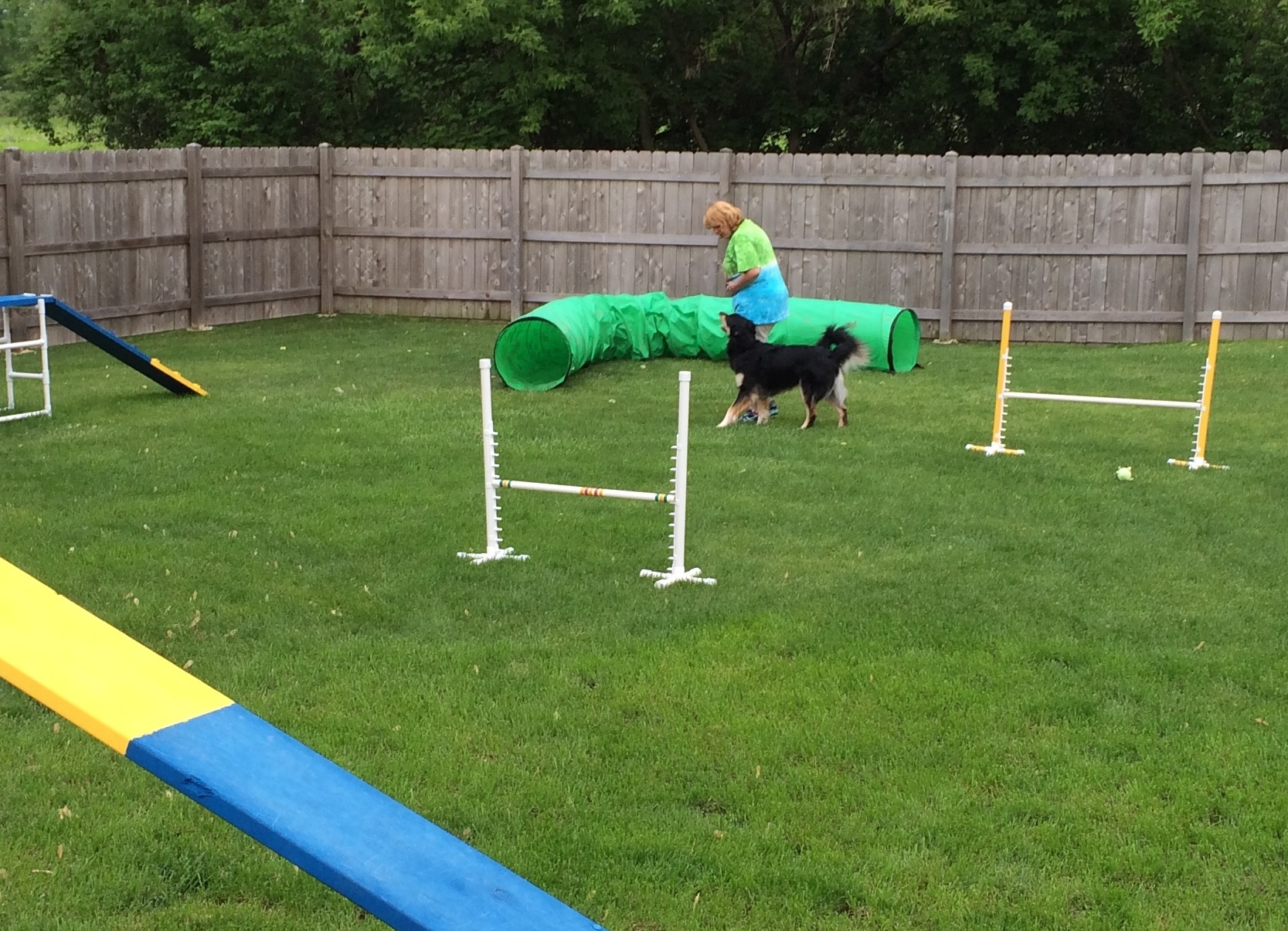 Backyard Agility - Dog Training Class in RI — Courteous Canine