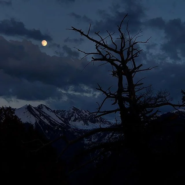 Can I get an awoo for this moodscape? -
-
-
-
-
-
-
#colorfulcolorado #telluride #colorado #co #nature #outdoors #moonrise #moon #mountains #vista #clouds #ski #skiing #skibasin #explore #hike #hiking #photography #alpenglow #awoo #moodscape #tapasan