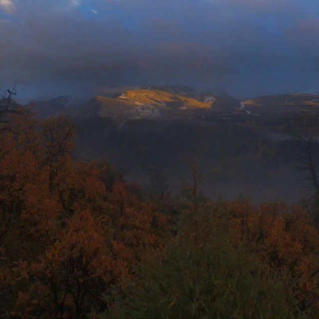 (3/3) Misty mountains serving up some humble pie. -
-
-
-
-
#telluride #co #colorado #colorfulcolorado #color #sunset #mountains #mist #misty #beautiful #hike #explore #outdoors #backyard #awesome #aweinspiring #photography #panorama
