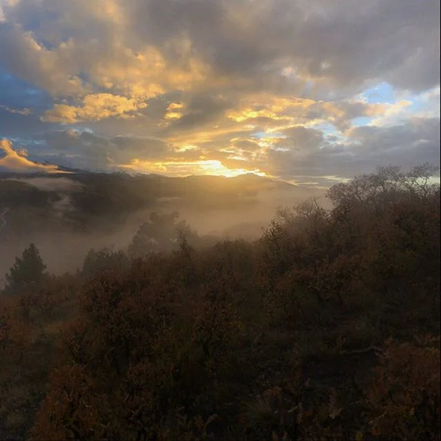 (1/3) Misty mountains serving up some humble pie. -
-
-
-
-
#telluride #co #colorado #colorfulcolorado #color #sunset #mountains #mist #misty #beautiful #hike #explore #outdoors #backyard #awesome #aweinspiring #photography #panorama