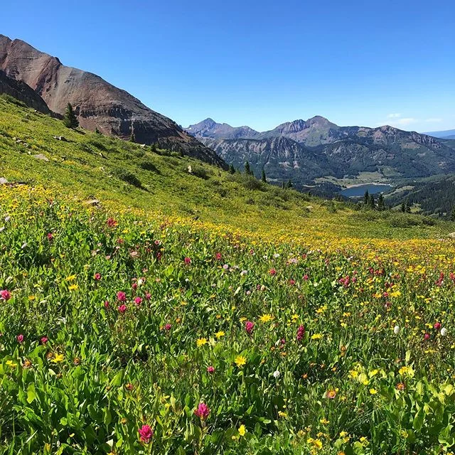 I really like this planet. -
-
-
-
-
#colorado #colorfulcolorado #hopelake #explore #hike #wildflowers #nature #nationalgeographic #flowers #mountains #color #telluride