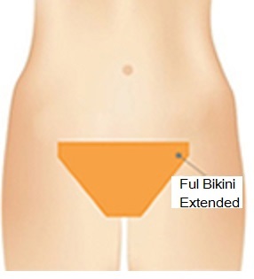 extended-full-bikini.jpg