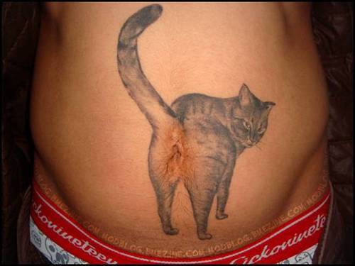 Tattoo Cat.jpg