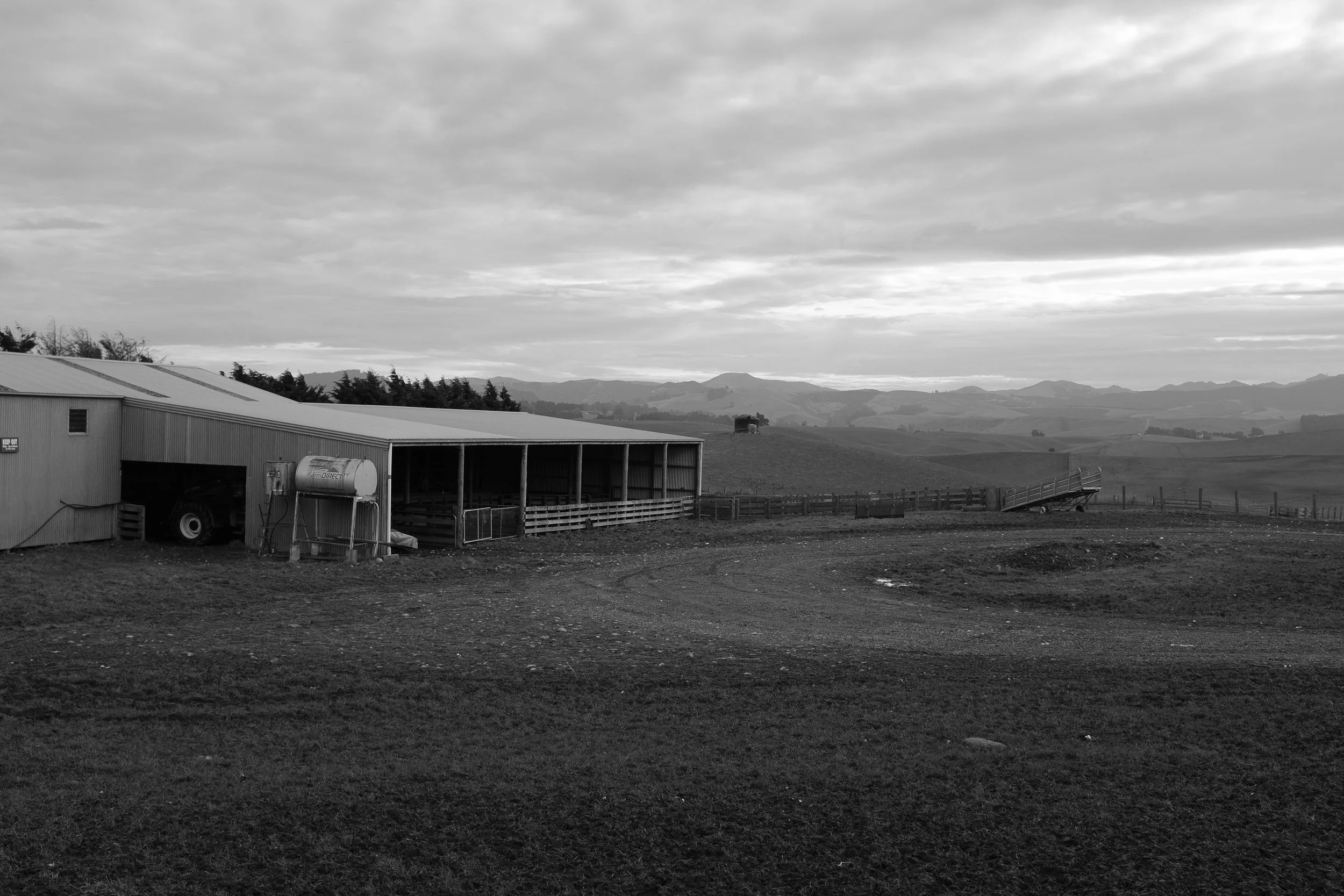 DSCF6318_1.jpg