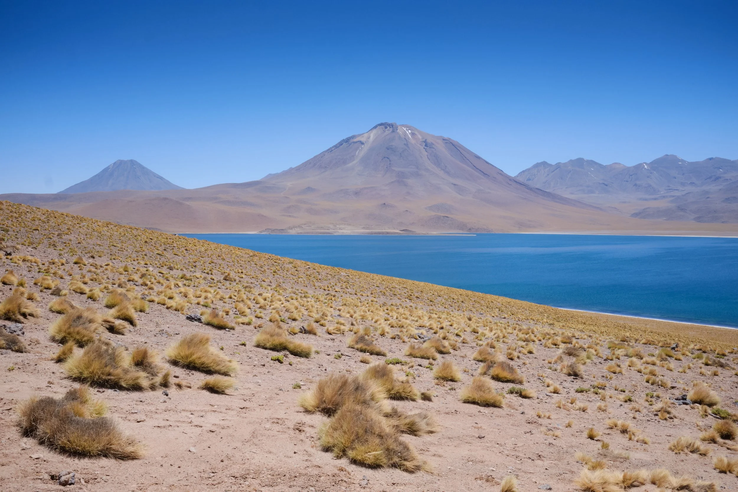 Jan 06 202611-48 pm.jpg