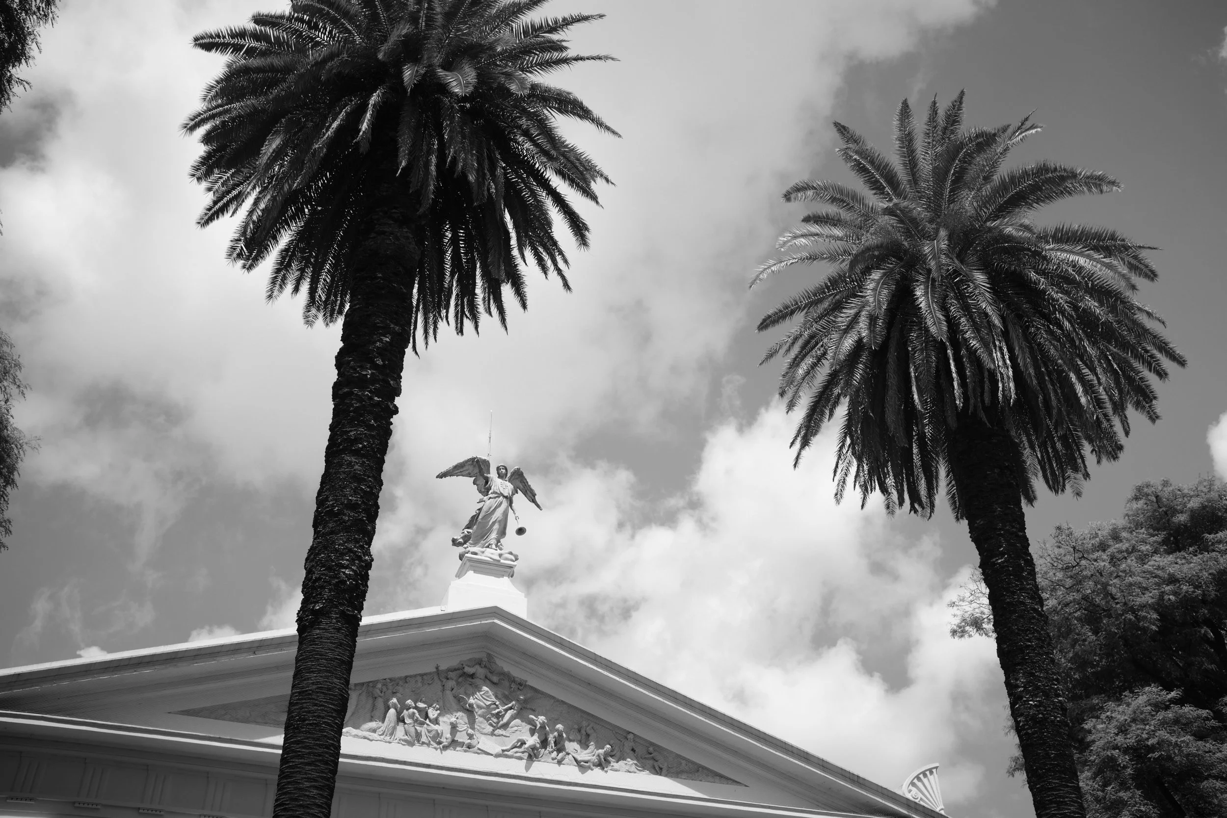 Jan 30 202610-21 pm.jpg