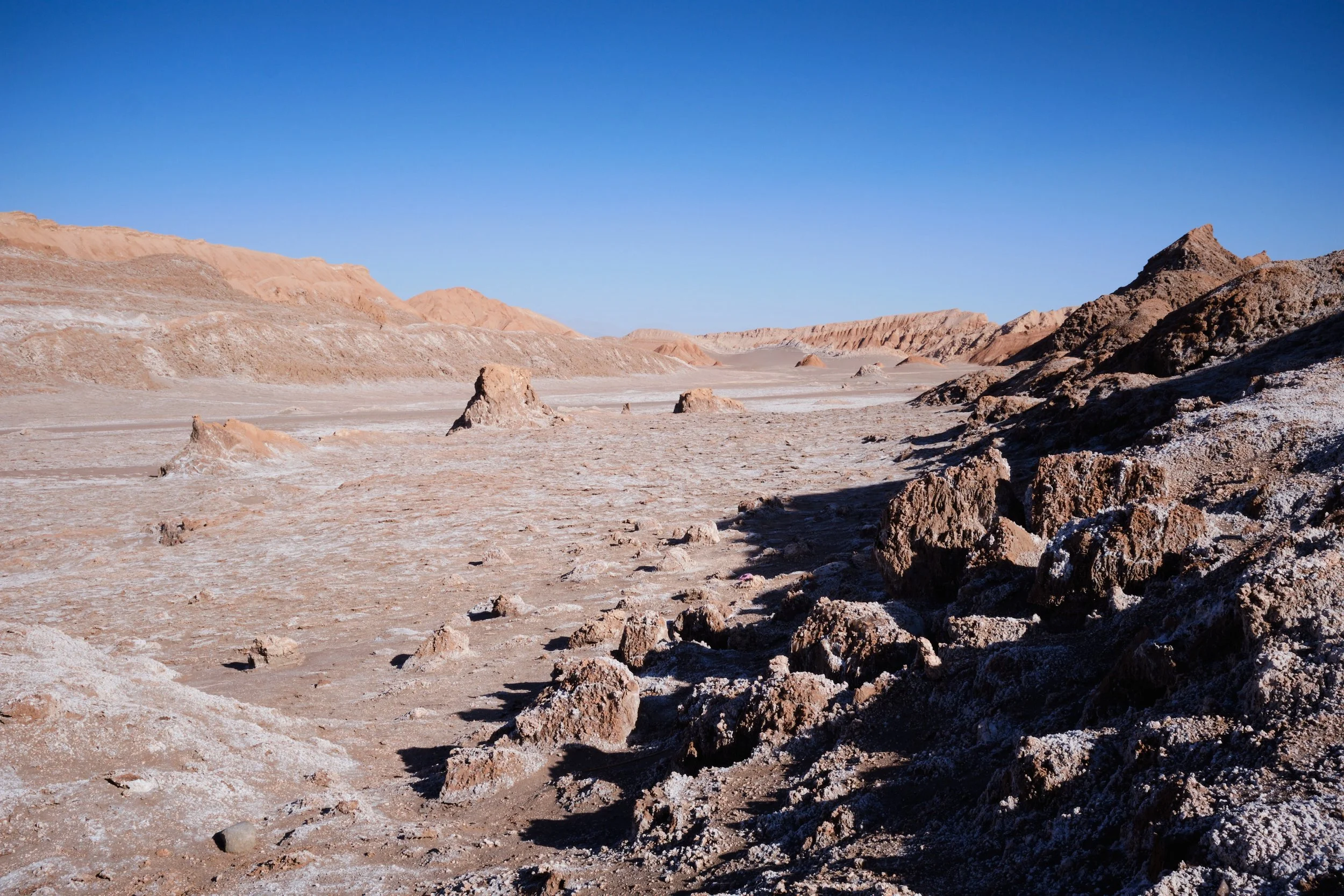 Jan 06 20265-29 am.jpg