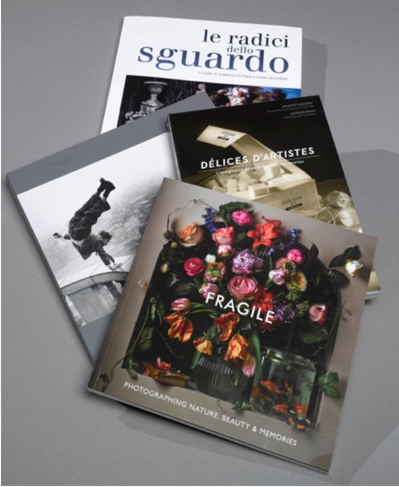 Selection of 2013 Catalogues