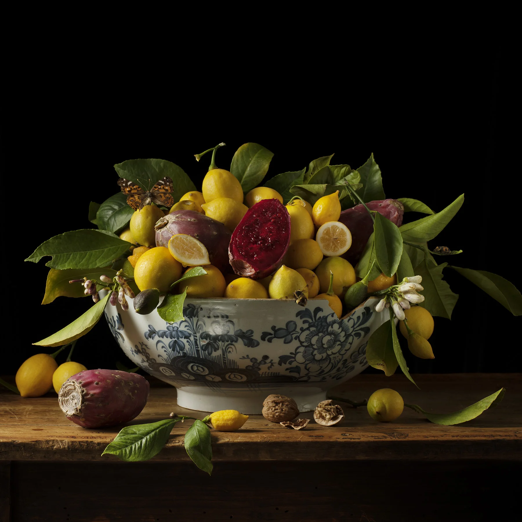 Lemons and Prickly Pears, 2013