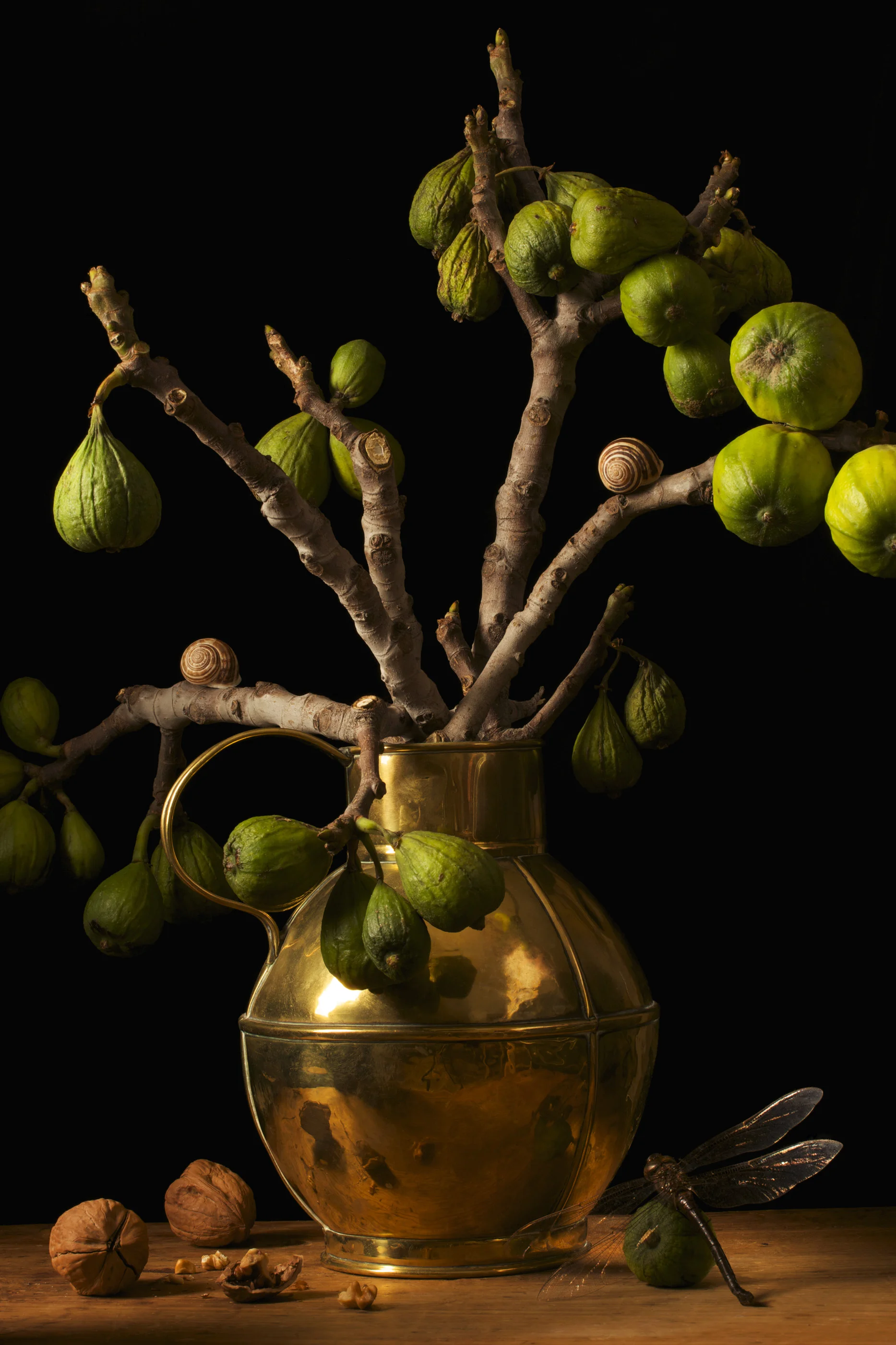 Figs, After G.F., 2009