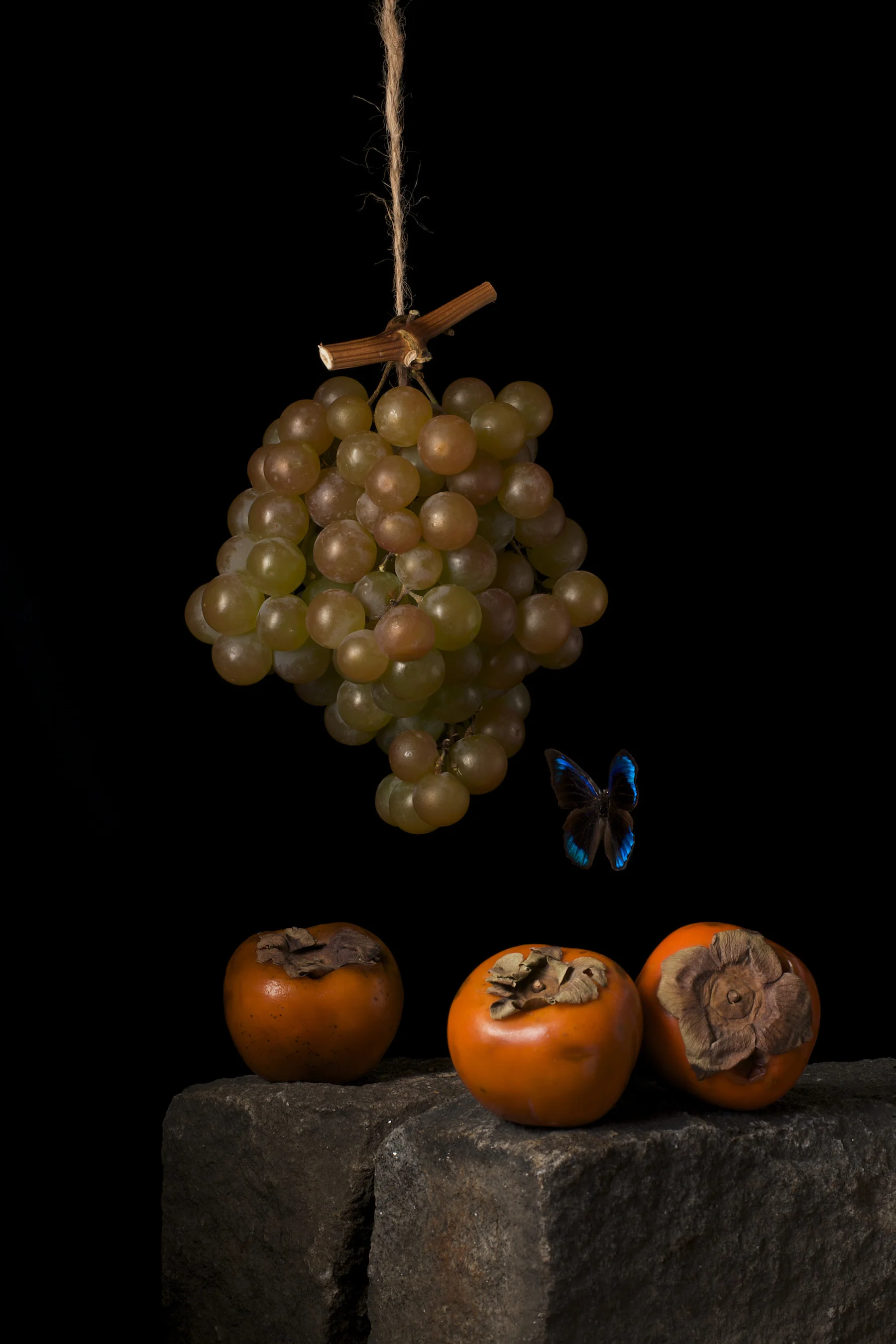 Persimmons, After A.C., 2008