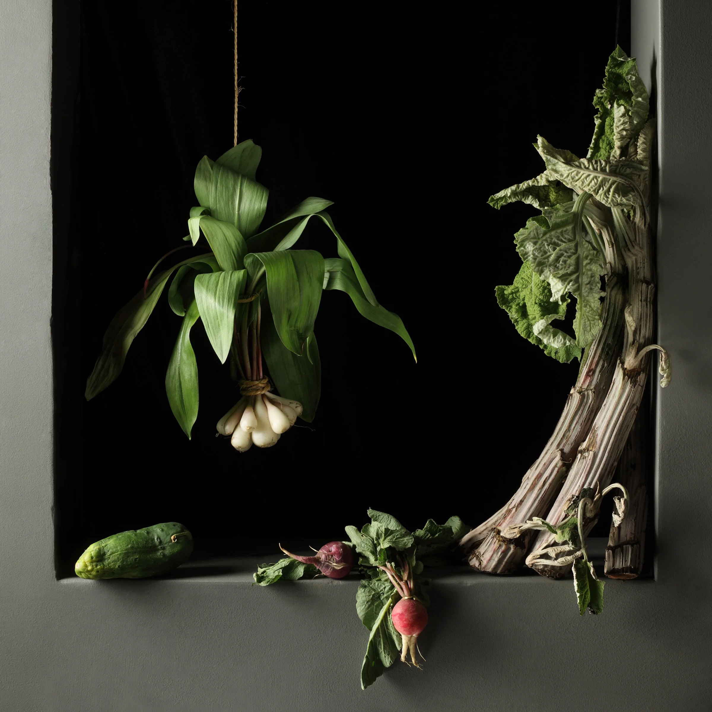Cardoon and Radishes, After J.S.C., 2010